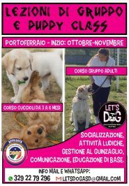 Corsi di gruppo di educazione cinofila in arrivo con Let's Dog