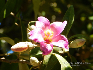Lutto della famiglia Orsi, la partecipazione dell&#039;I.C. Pertini