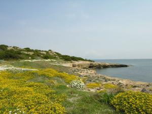 Al Parco un appuntamento dedicato alla protezione degli ecosistemi insulari