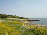 Al Parco un appuntamento dedicato alla protezione degli ecosistemi insulari