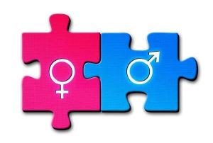 Propaganda Gənder e Gender Studies?