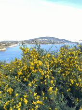 La Foto del Giorno (13 apr.)