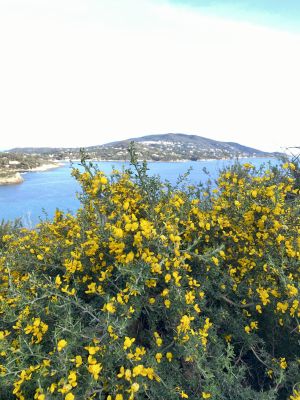 La Foto del Giorno (13 apr.)