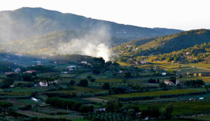 Marevivo si schera con Capoliveri contro il dissalatore