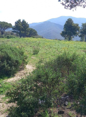 Storia antica dell’Elba. Giacimenti di industria litica attribuibili al paleolitico superiore (aurignaziano-gravettiano) - parte 8