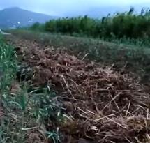 Una spericolata esegesi evangelica ed altre presidenziali castronerie a Portoferraio