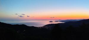 La Foto del Giorno (30 sett.)