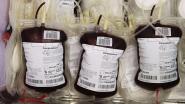 "C’è bisogno di sangue" - L'appello dell'AVIS Portoferraio