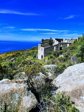 La Foto del Giorno (24 mag.)