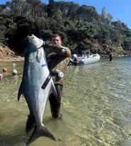 Pesca subacquea: catturata una grossa Leccia a Lacona