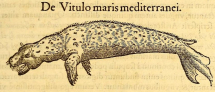 Fra' Giuseppe e la foca monaca