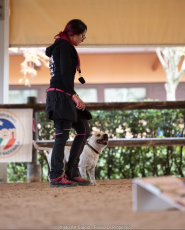L'Elba per la prima volta sul podio delle Finali nazionali di CSEN cinofilia