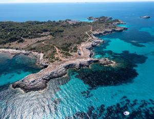 Pianosa: l’allevamento di cinte senesi e di zecche