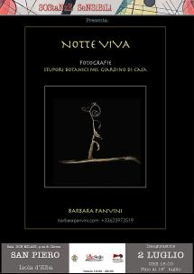 A San Piero la mostra "Notte viva" di Barbara Panvini