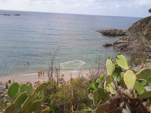 Appunti e lamentele di una ospite abituale dell&#039;Isola