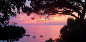 La Foto del Giorno (3 ago.)