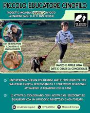 foto del Tue, 03 Mar 2026 11:18:33 +0100