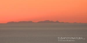Le Alpi Marittime dal Volterraio