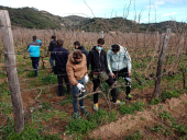 Il Cerboni, una scuola eco sostenibile