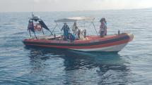 Le tartarughe Lucy e Cristina sono tornate al mare