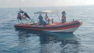 Le tartarughe Lucy e Cristina sono tornate al mare