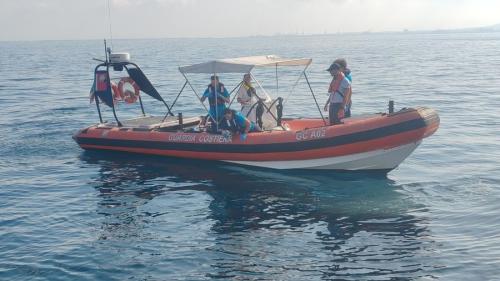 Le tartarughe Lucy e Cristina sono tornate al mare