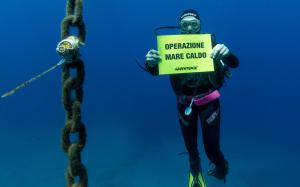 Mare caldo fino a 40 metri sott’acqua, il Mediterraneo ribolle. Il caso più significativo è quello dell'Isola d'Elba