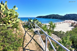 La Foto del Giorno (2 mag.)