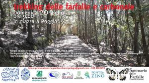 Il 20 luglio trekking delle farfalle e delle carbonaie