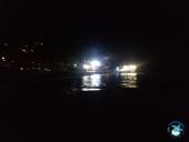 Spengete quelle luci, le tartarughine devono ancora nascere