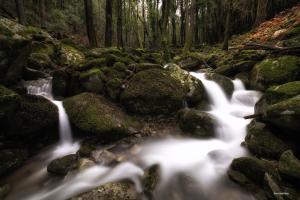 La Foto del Giorno (20 dic.)