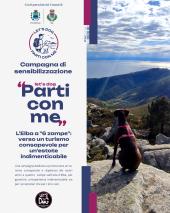 "Parti con me – Viaggiare con il cane in modo consapevole", grande successo per la campagna di Let’s Dog ASD