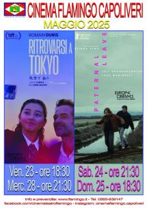 La programmazione del Cinema Flamingo