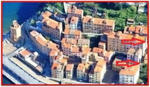 Rio Marina, veleno per topi sparso nel rione Castello