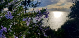 La Foto del Giorno (9 feb.)