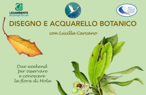 Prolungamento Concorso “disegna la mascotte di Mola”