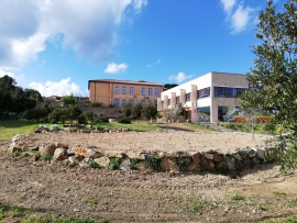 Scuola e territorio - la vigna didattica del &quot;Foresi&quot;