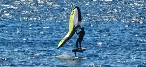 Il 17 maggio a Chiessi la prima edizione dell’Elba Foil Fest