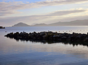 La Foto del Giorno (9 feb.)