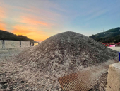 Cumuli di Posidonia sulla spiaggia "libera" a Spartaia: il Comune Marcianese risponde.