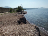 Legge salvamare: posidonia e biomasse spiaggiate, ultimo atto?