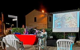 Il successo di &quot;Historie Minor&quot; di Silvestre Ferruzzi