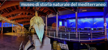 Al Museo del Mediterraneo il corso per Operatori addetti all’accoglienza e sorveglianza nei musei