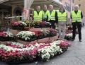 L’Azalea della ricerca a favore dell’AIRC