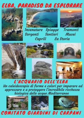 Il Comitato Carpani resta in attesa di poter riprendere le sue attività