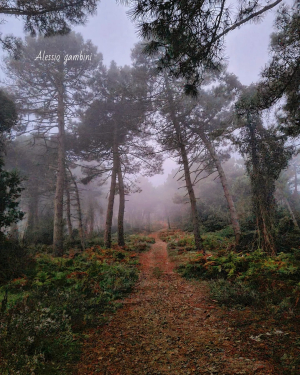 La Foto del Giorno (18 ott.)