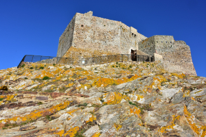 La Foto del Giorno (26 mag.)