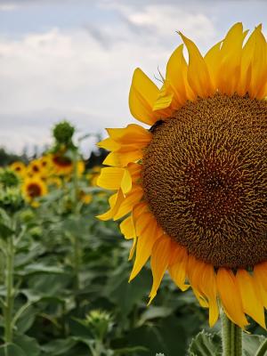 La Foto del Giorno (7 lug.)