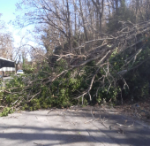 Chiuse le strade provinciali della Civillina e del Monte Perone per il forte vento