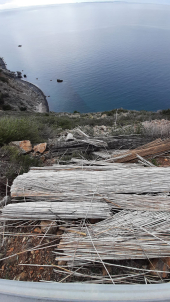 Discarica panoramica di incannucciate che nessuno rimuove